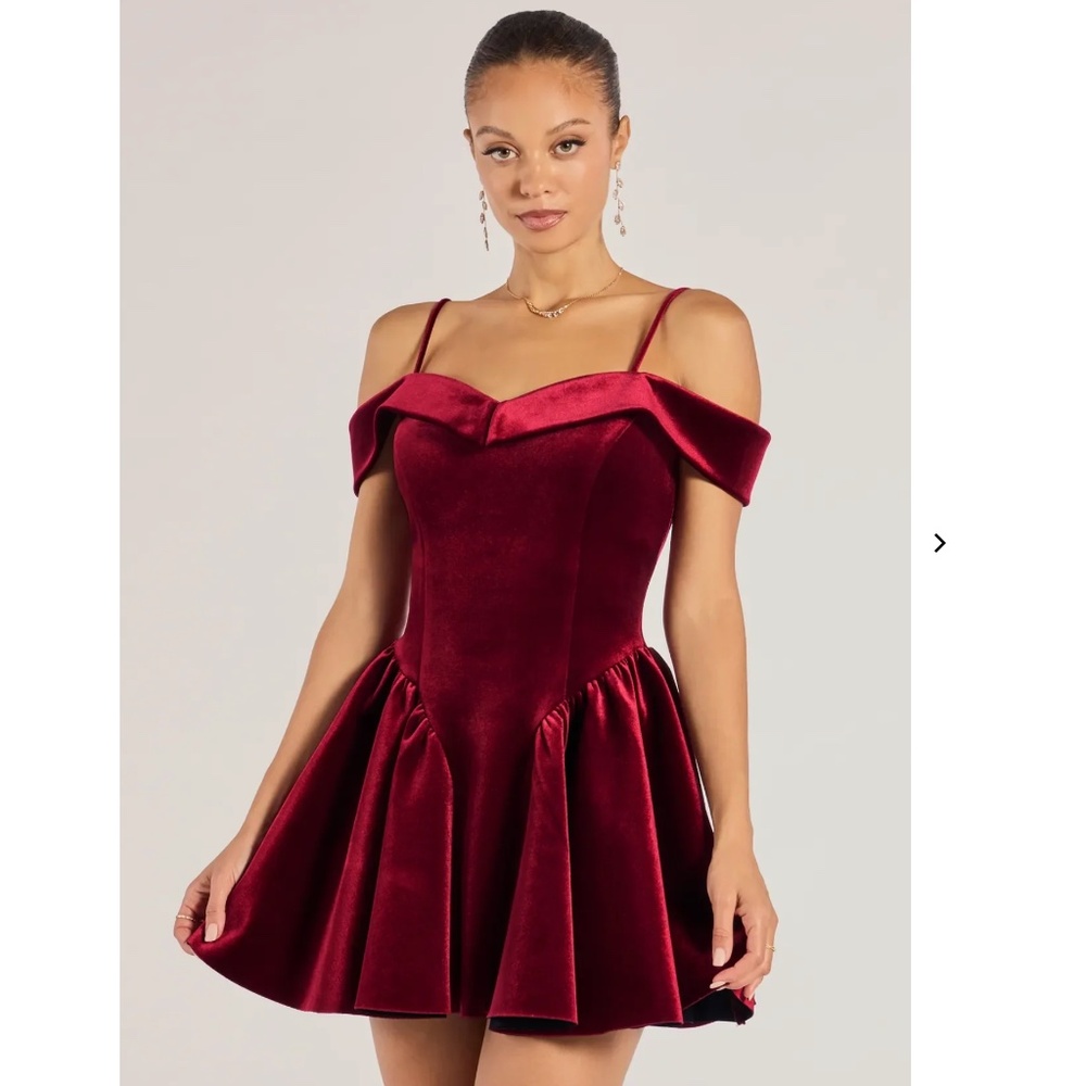 Windsor Velvet Drop Waist Skater Dress in Burgundy, Like New